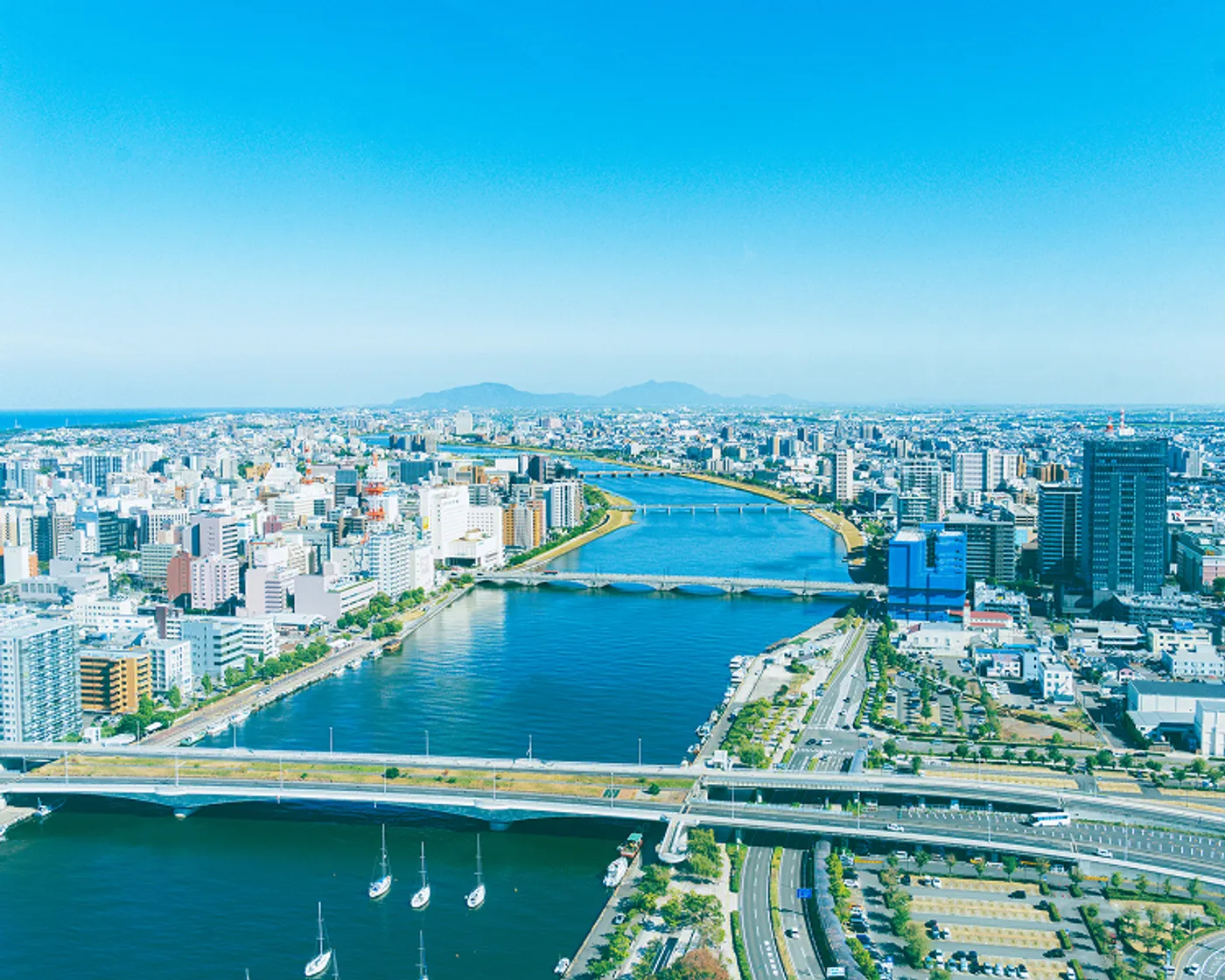 グループ・関連事業領域